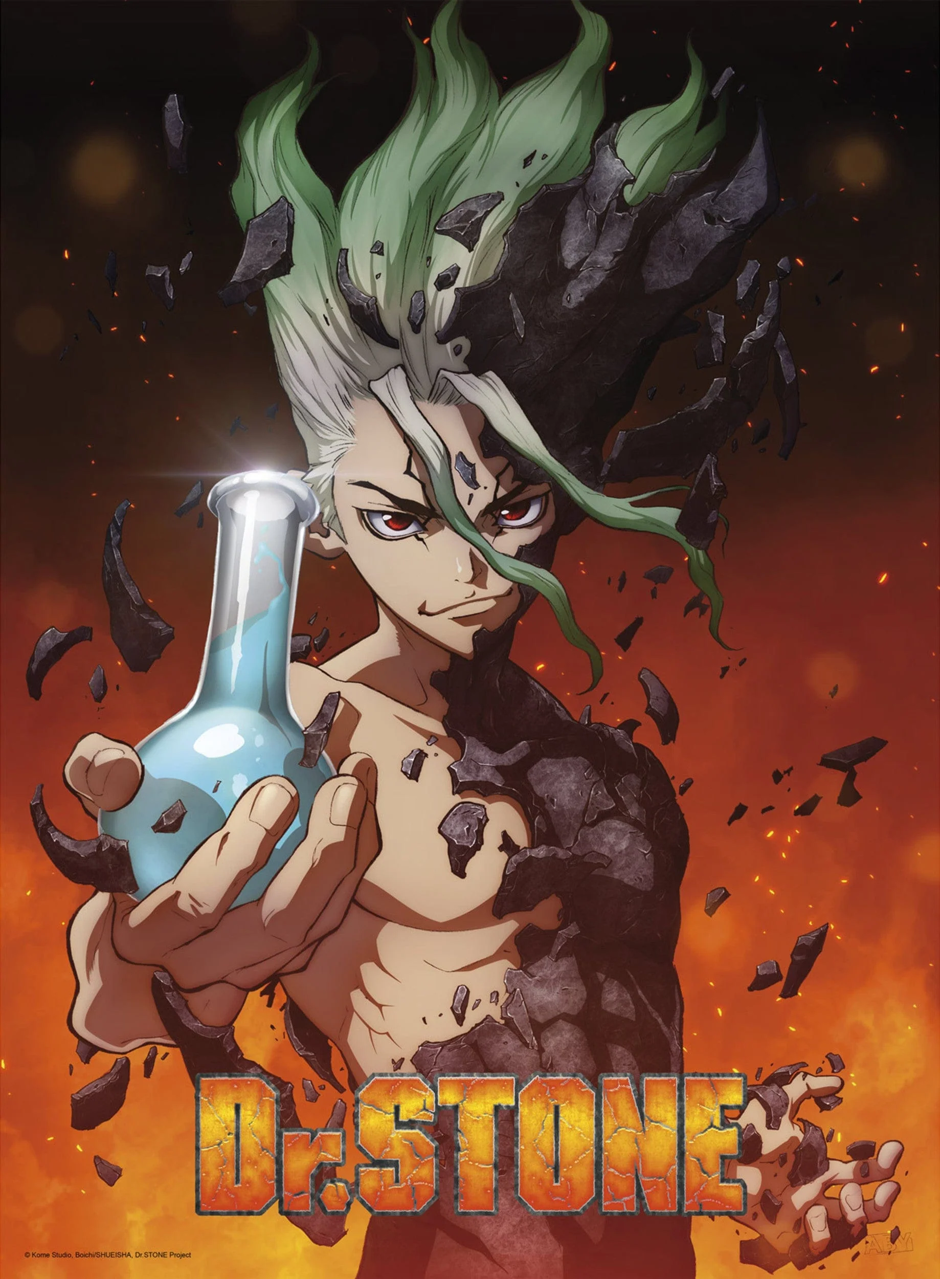 Dr. Stone Dr. Stone